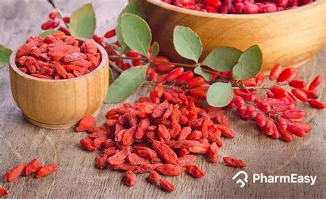 goji berry extract side effects.